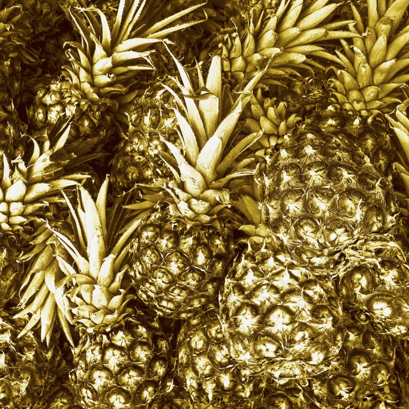 eco friendly fabric material organic pineapple 1
